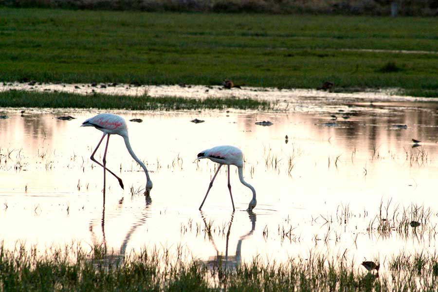 Naturaleza